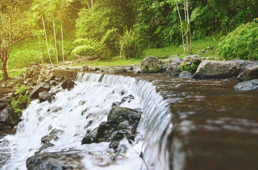 Hotel Taman Piknik Puncak Zewnętrze zdjęcie